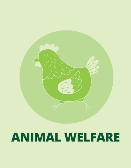 IFOAM Organics Europe’s position paper on animal welfare practices and labelling