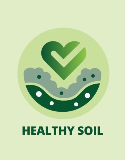 Organic farming benefits for agricultural soils