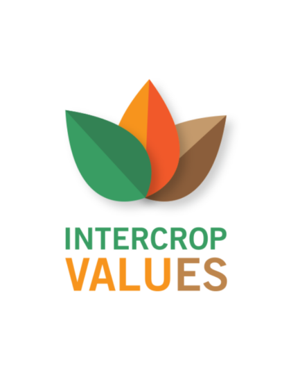 New project on intercropping for agrifood value chains & ecosystem services: IntercropValueES