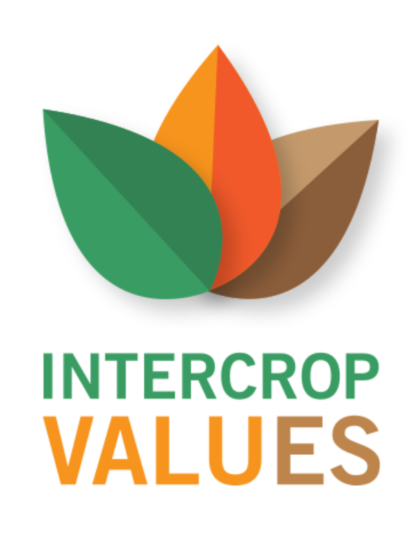 Practical knowledge about intercropping in organic systems available